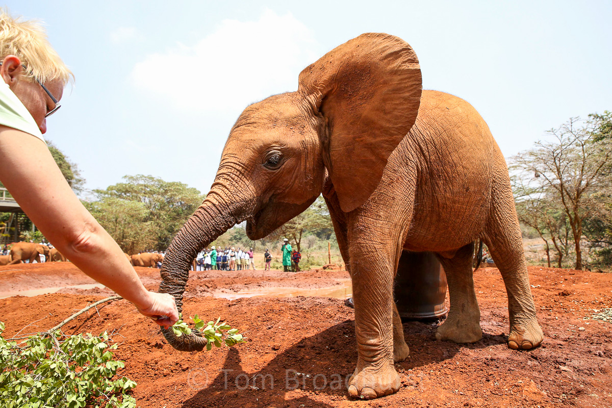 Enkesha accepts some food