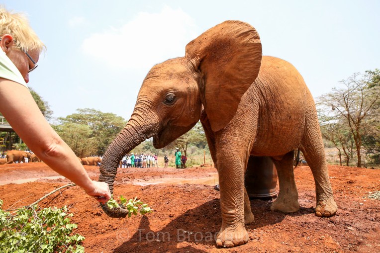 Enkesha accepts some food